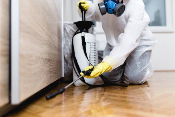 Best Pest Inspection Near Me  in Greenup, IL