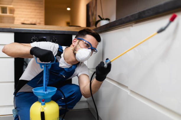 Best Pest Prevention Services  in Greenup, IL