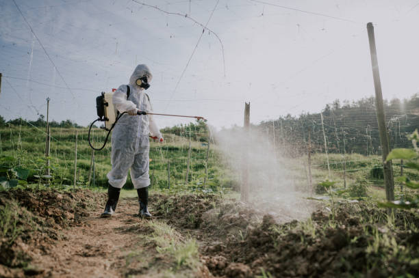 Best Pest Control for Homes  in Greenup, IL