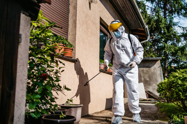 Pest Control Cost in Greenup, IL