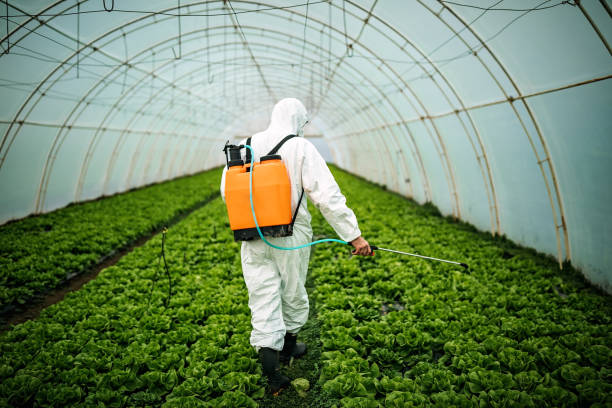 Best Best Pest Control Companies  in Greenup, IL