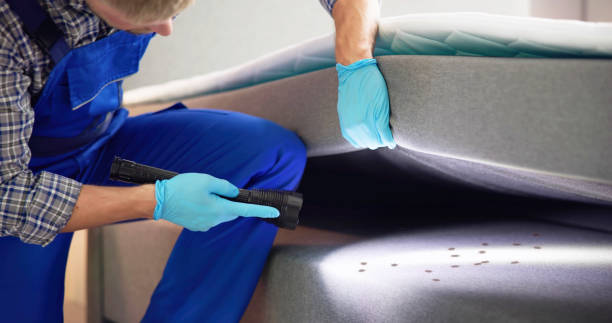 Best Bed Bug Extermination  in Greenup, IL