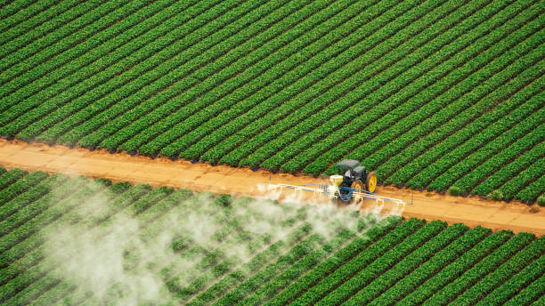 Best Pest Control Near Me  in Greenup, IL