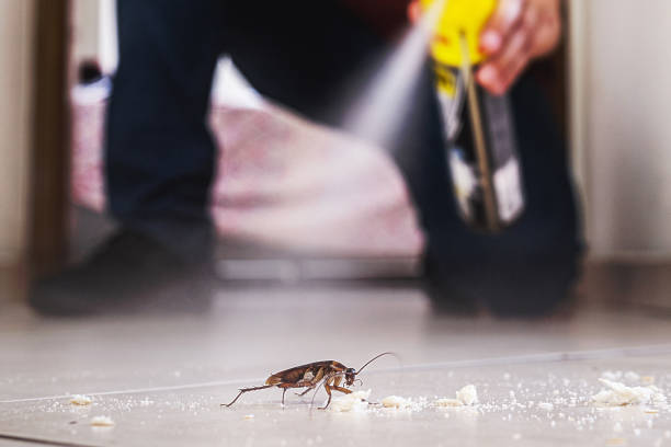 Best Pest Prevention Services  in Greenup, IL