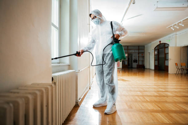 Best Rat Extermination Near Me  in Greenup, IL