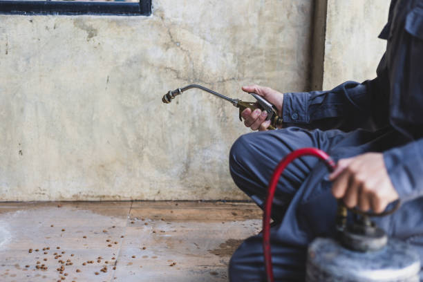 Best Exterminator Services  in Greenup, IL